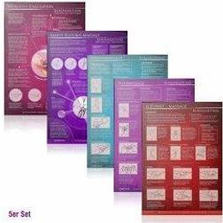 [5er Set 2023] G-Punkt-Massage, Yoni-Massage, Lingam-Massage, Sanfte Klitorismassage, Weibliche Ejakulation, 5 Teile